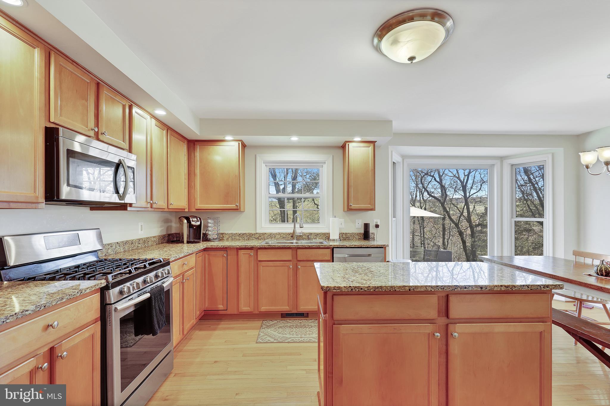 9271 Maidstone Road Delaplane, VA 20144 - Photo 4 of 49 Kitchen
