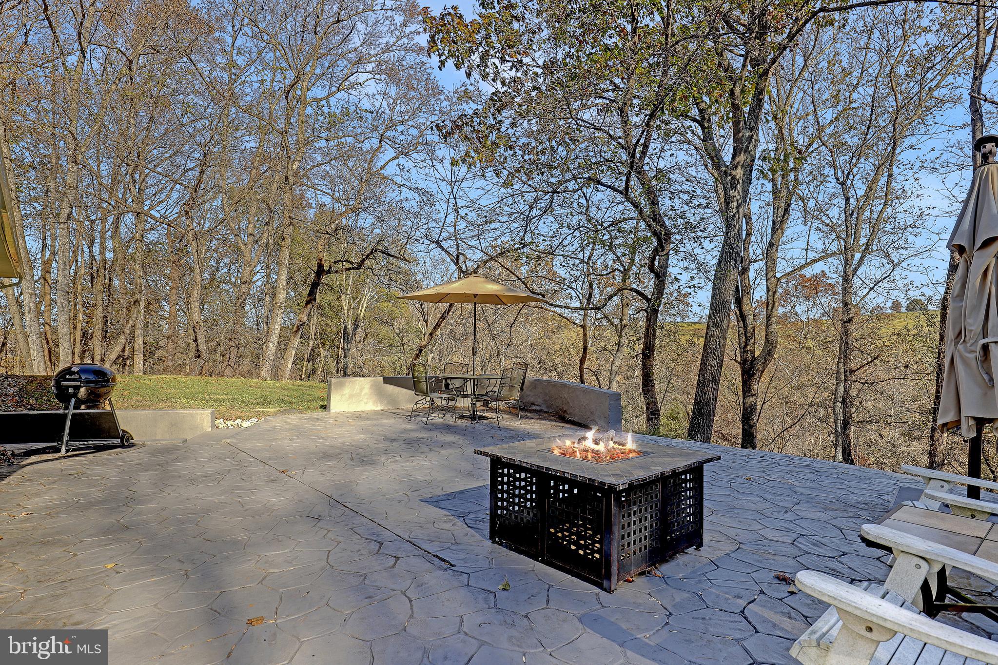 9271 Maidstone Road Delaplane, VA 20144 - Photo 36 of 49 Stamped Back Patio