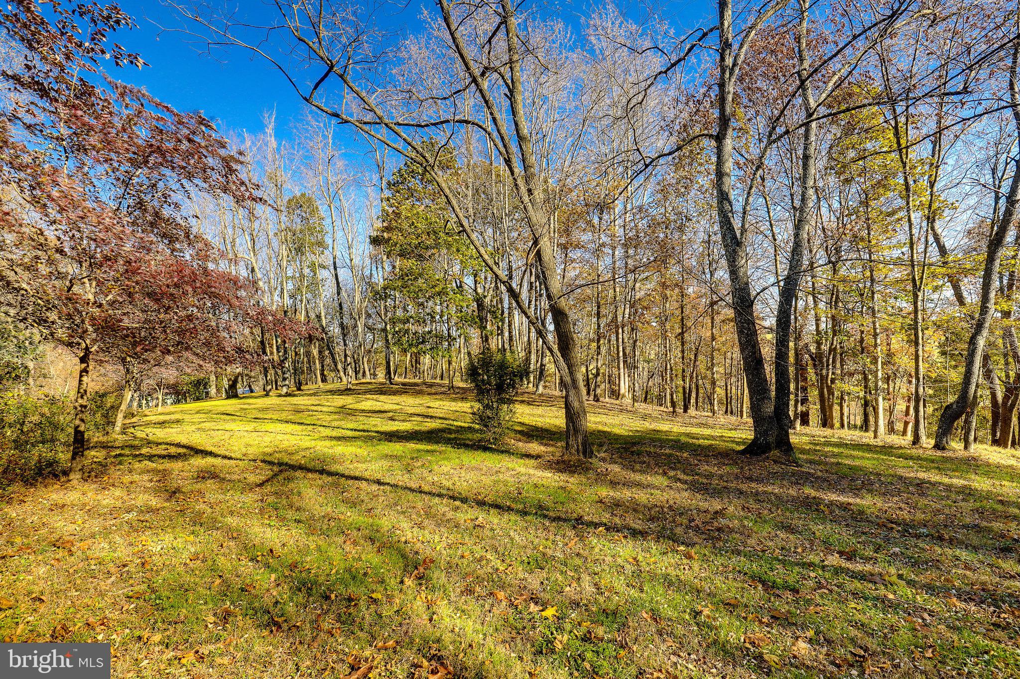 9271 Maidstone Road Delaplane, VA 20144 - Photo 39 of 49 Property