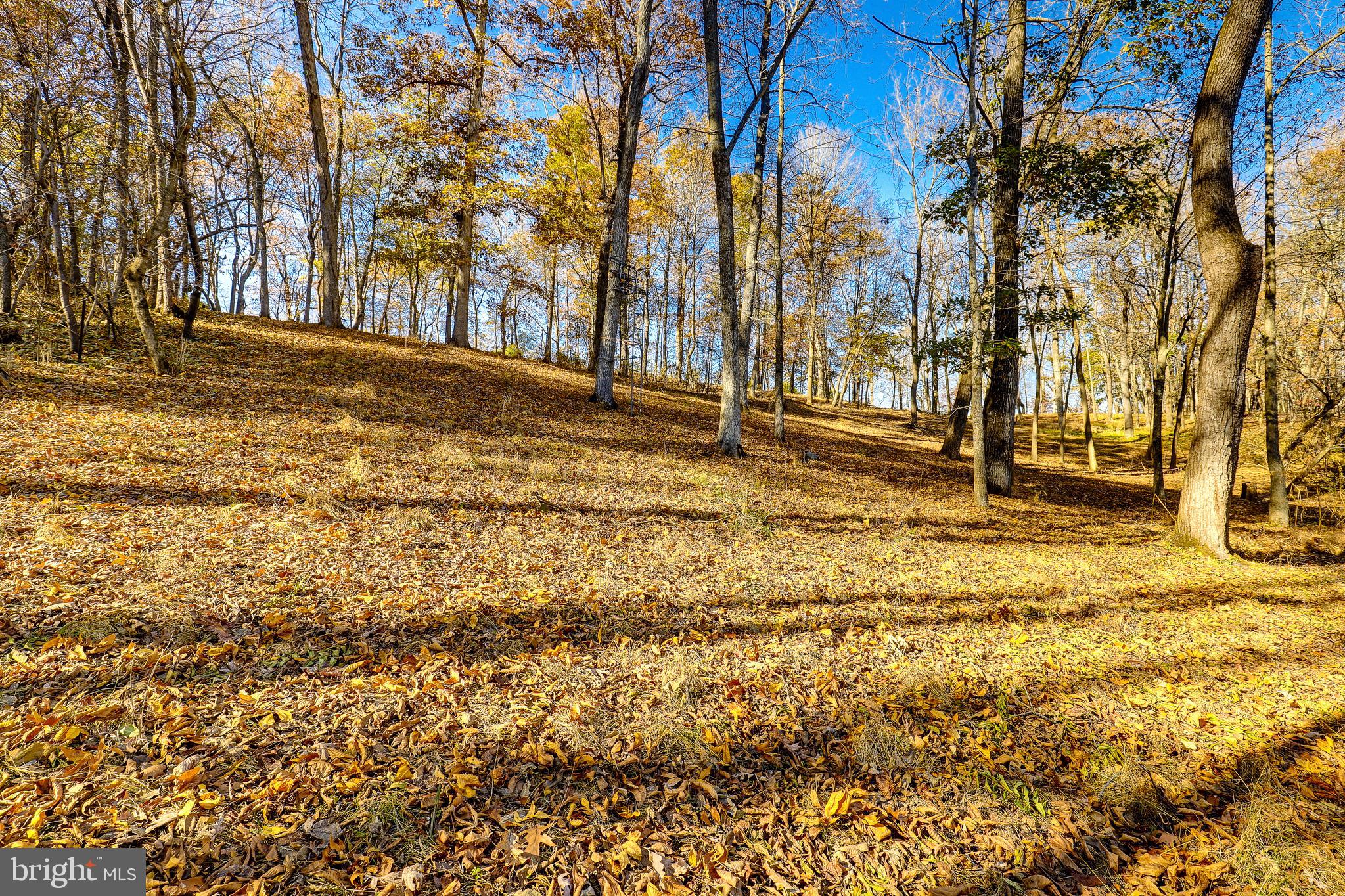 9271 Maidstone Road Delaplane, VA 20144 - Photo 40 of 49 Property
