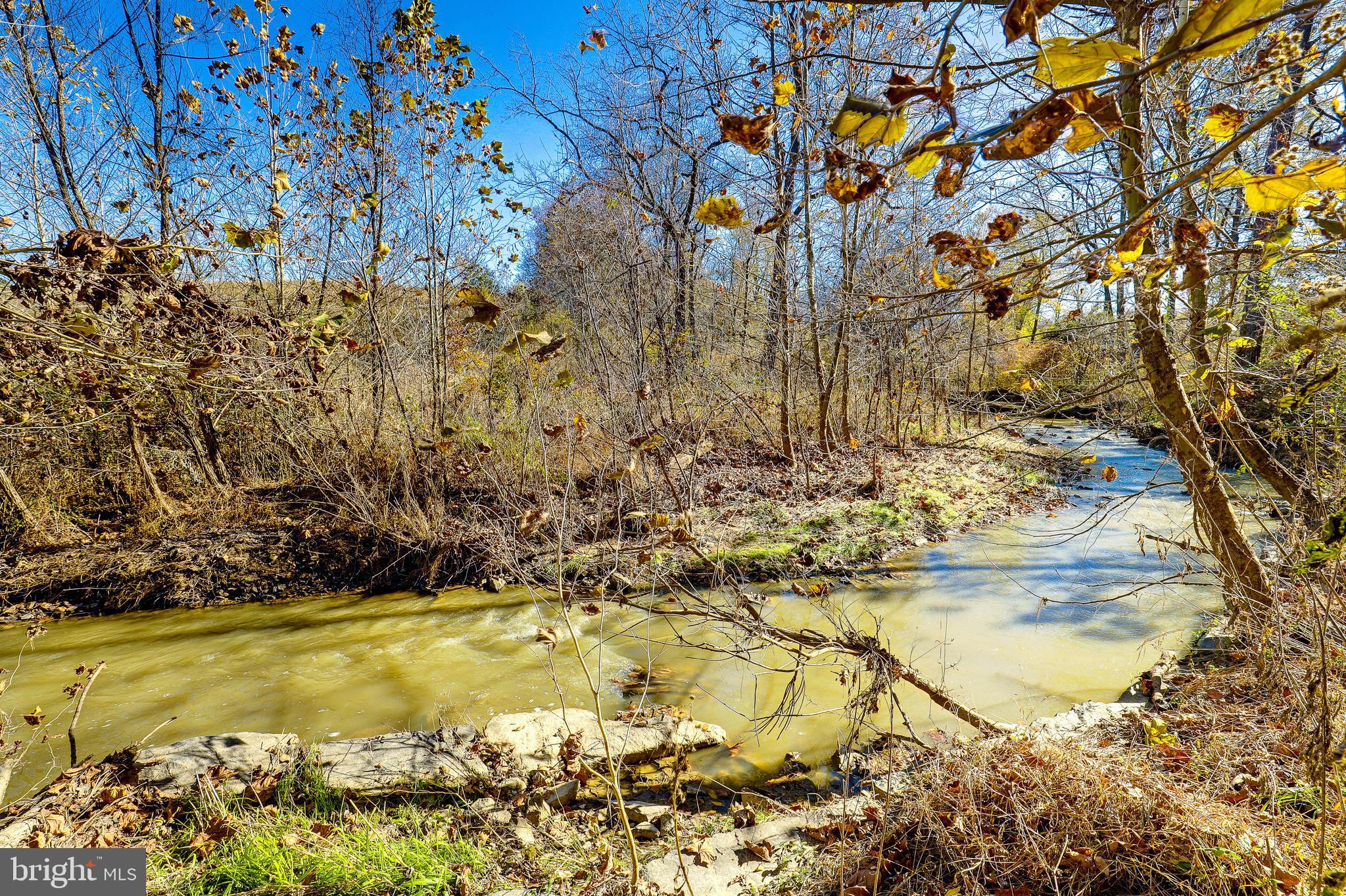 9271 Maidstone Road Delaplane, VA 20144 - Photo 5 of 49 Creek Edge of Property