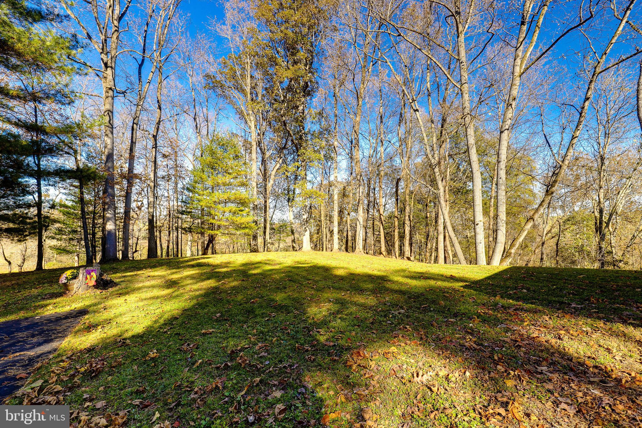 9271 Maidstone Road Delaplane, VA 20144 - Photo 42 of 49 Yard