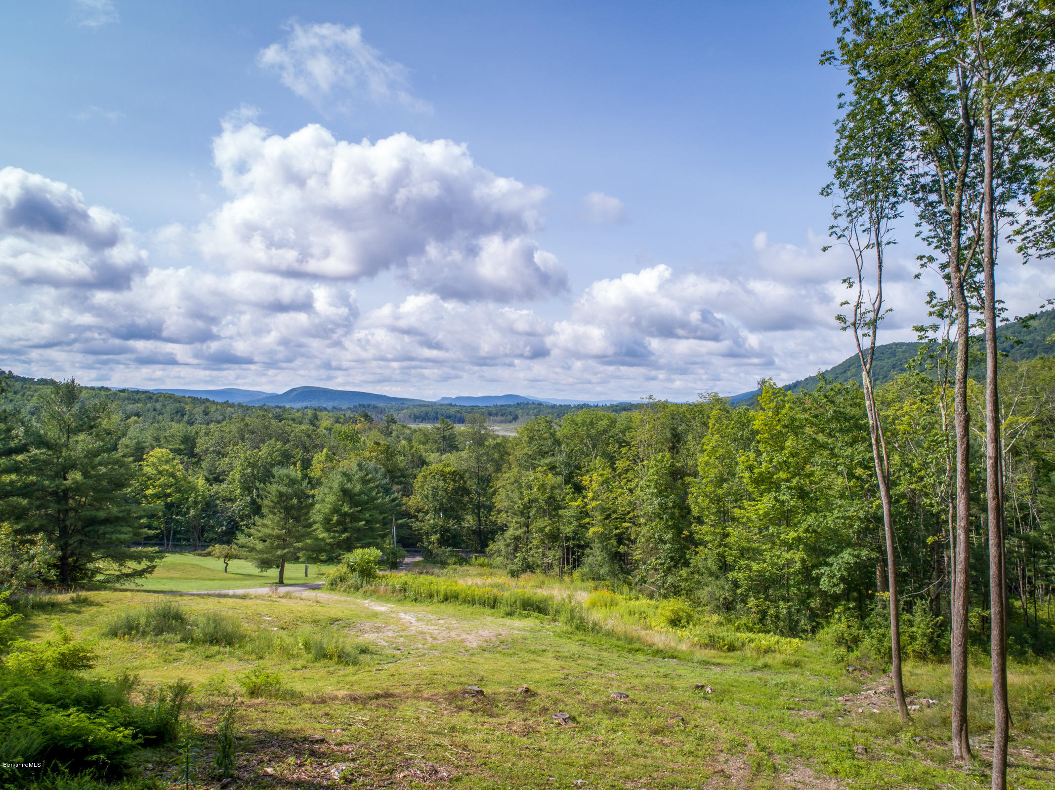 429 Under Mountain Road Lenox, MA 01240 - Photo 3 of 10 a view of a yard with plants