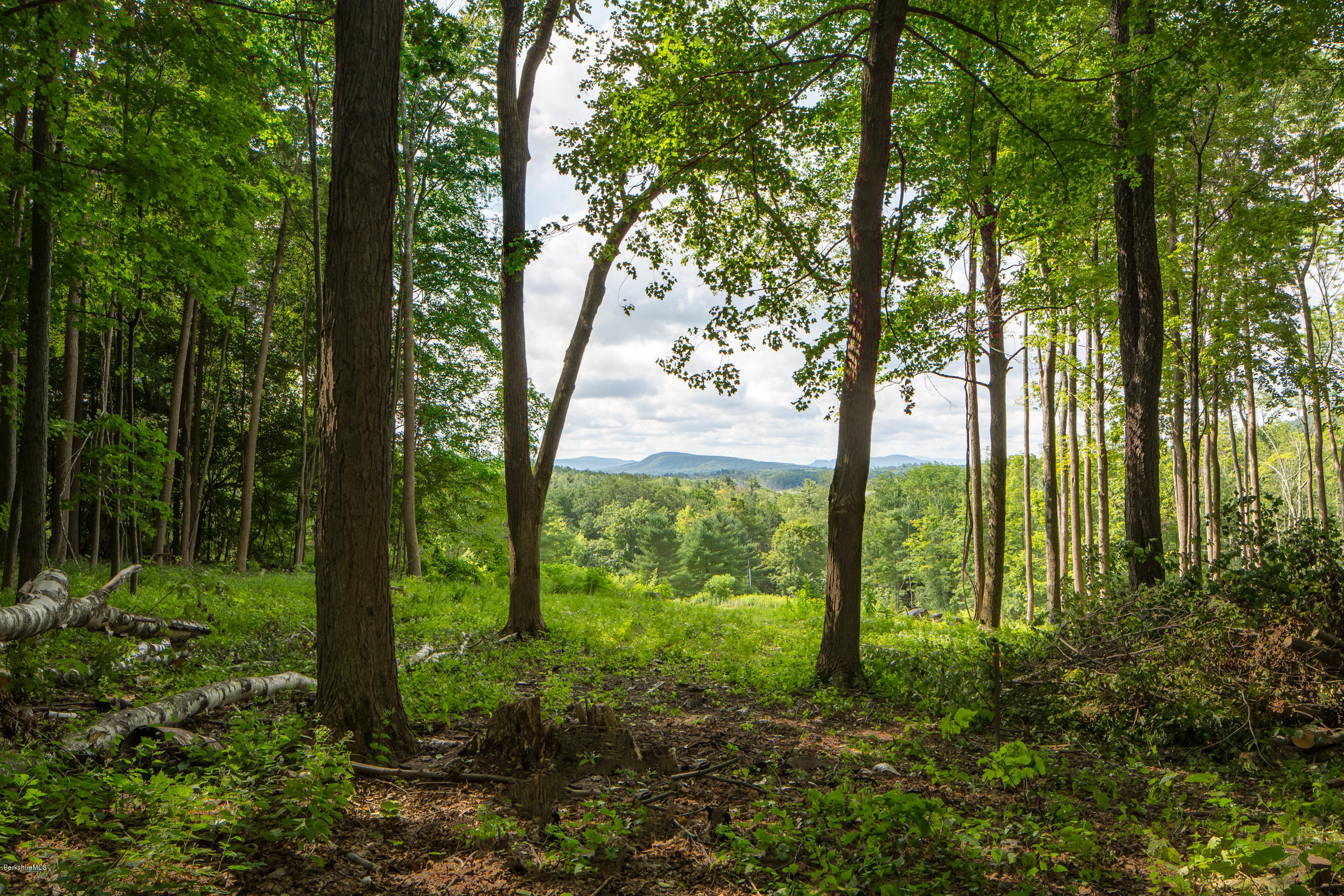 429 Under Mountain Road Lenox, MA 01240 - Photo 4 of 10 a view of outdoor space and trees