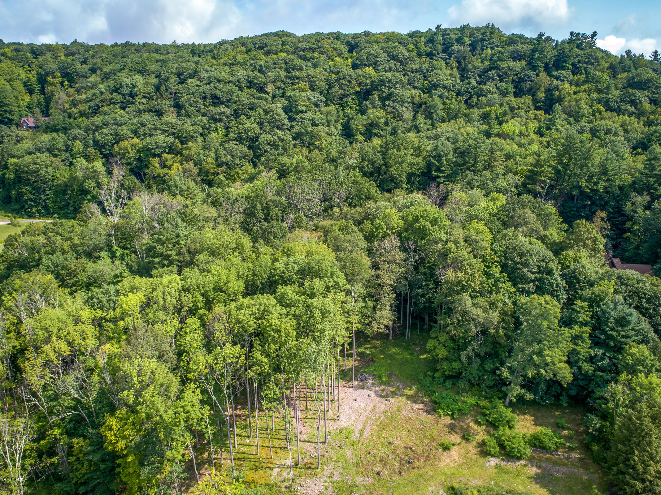 429 Under Mountain Road Lenox, MA 01240 - Photo 5 of 10 a view of a forest with a street