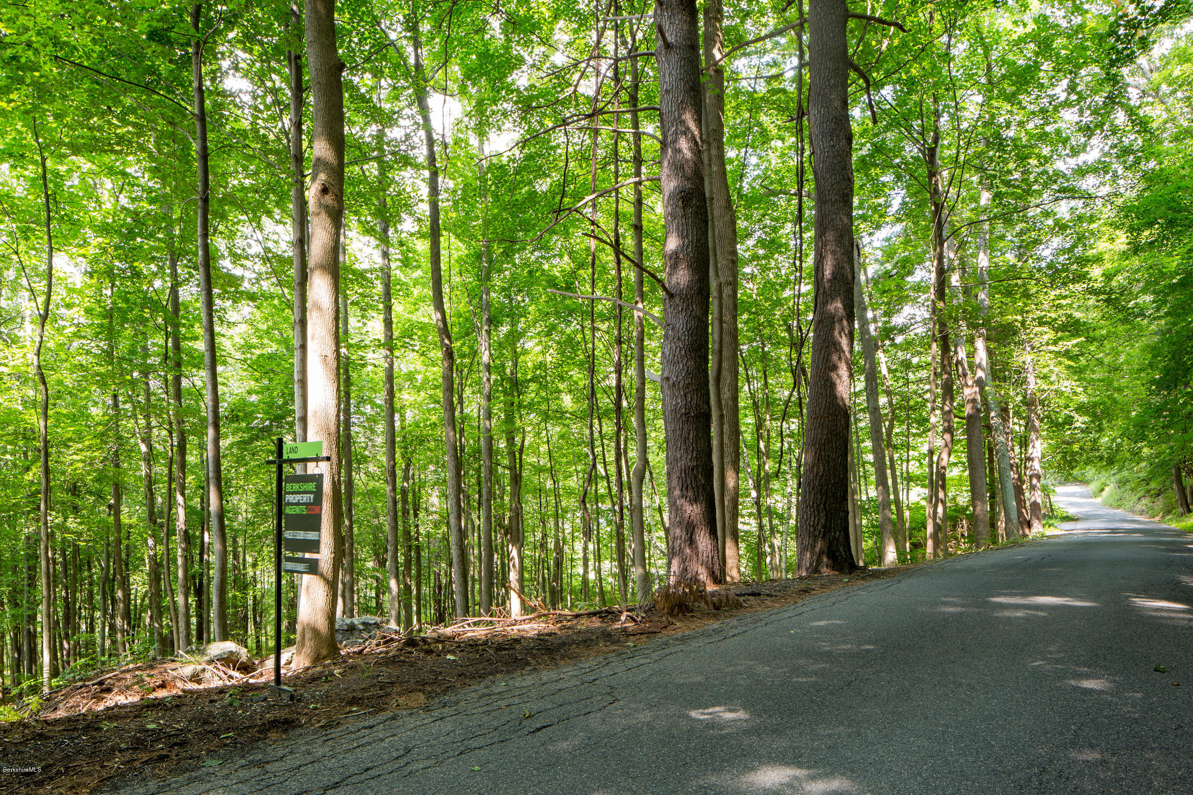 429 Under Mountain Road Lenox, MA 01240 - Photo 8 of 10 a view of a road with trees in the background