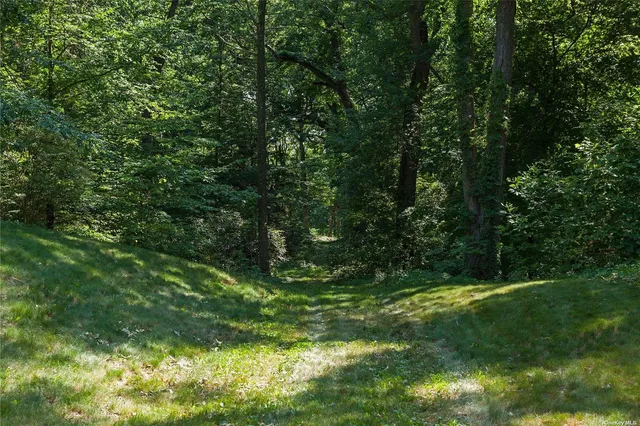 a view of outdoor space and yard