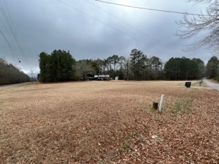 31 Richard Smith Road Warm Springs, GA 31830 - Photo 11 of 23 Gallery Image 11