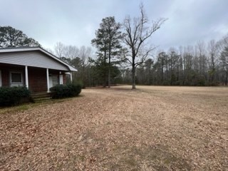 31 Richard Smith Road Warm Springs, GA 31830 - Photo 3 of 23 Gallery Image 3