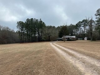 31 Richard Smith Road Warm Springs, GA 31830 - Photo 5 of 23 Gallery Image 5