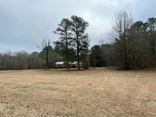 31 Richard Smith Road Warm Springs, GA 31830 - Photo 7 of 23 Gallery Image 7