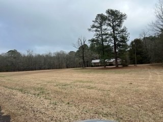 31 Richard Smith Road Warm Springs, GA 31830 - Photo 8 of 23 Gallery Image 8