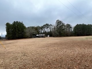 31 Richard Smith Road Warm Springs, GA 31830 - Photo 9 of 23 Gallery Image 9