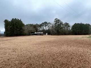 31 Richard Smith Road Warm Springs, GA 31830 - Photo 10 of 23 Gallery Image 10