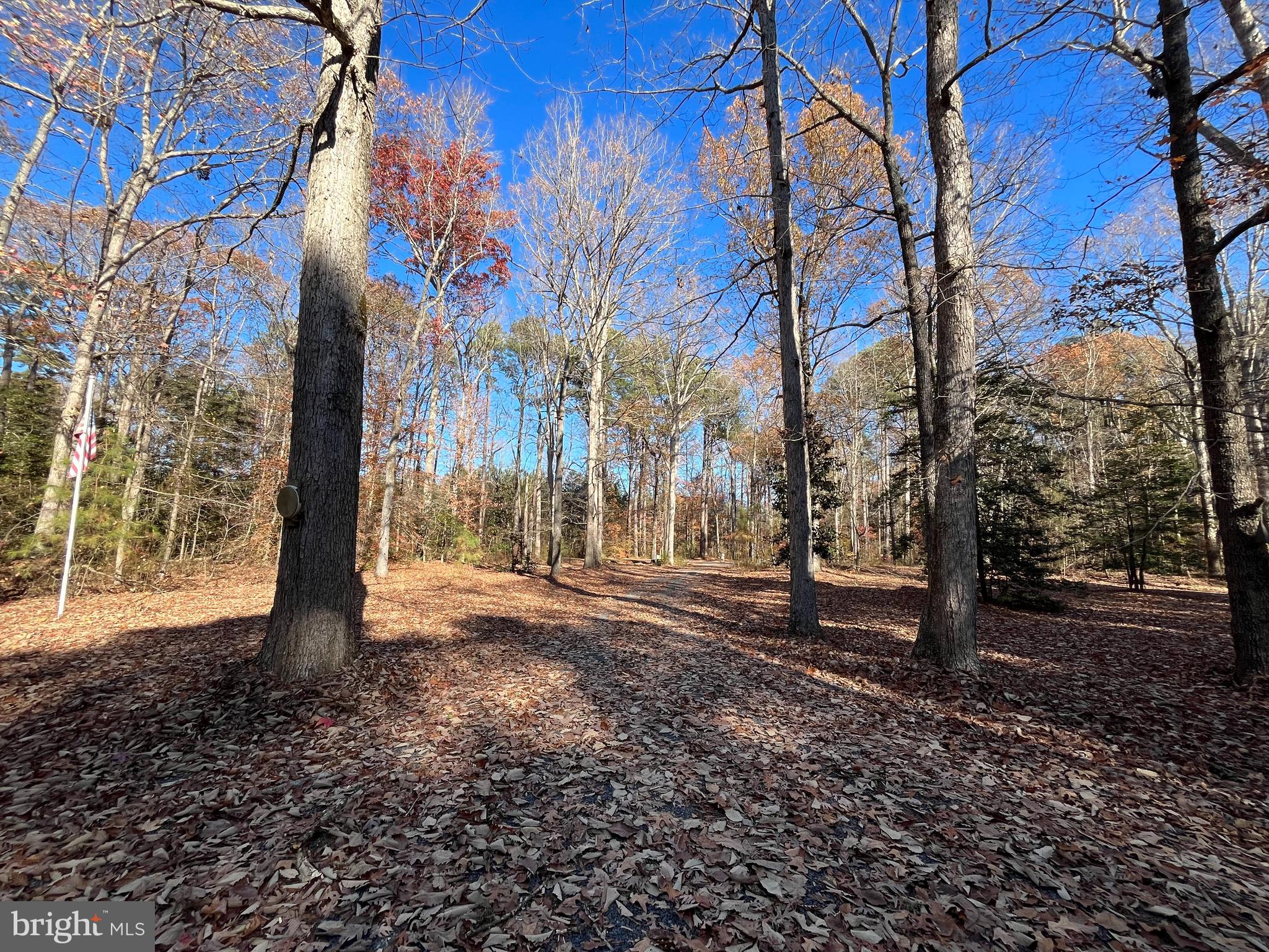 3040 Jamaica Point Road Trappe, MD 21673 - Photo 23 of 23 Gallery Image 23