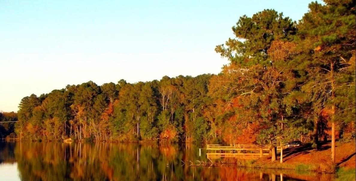 5834 County 4 Northeast Remer, MN 56672 - Photo 14 of 18