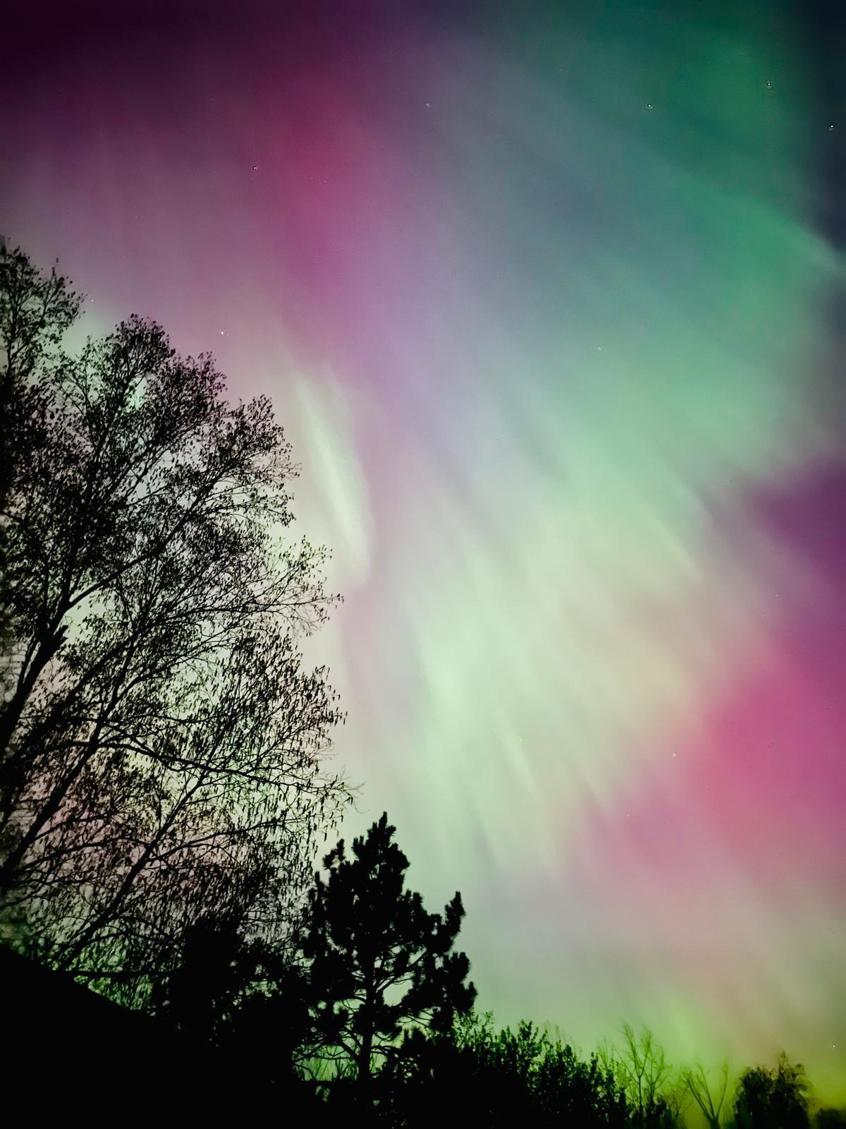 5834 County 4 Northeast Remer, MN 56672 - Photo 17 of 18