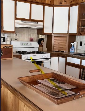 5834 County 4 Northeast Remer, MN 56672 - Photo 5 of 18