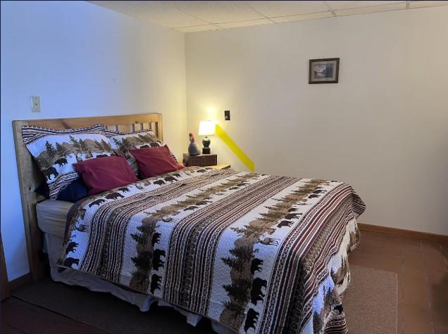 5834 County 4 Northeast Remer, MN 56672 - Photo 7 of 18