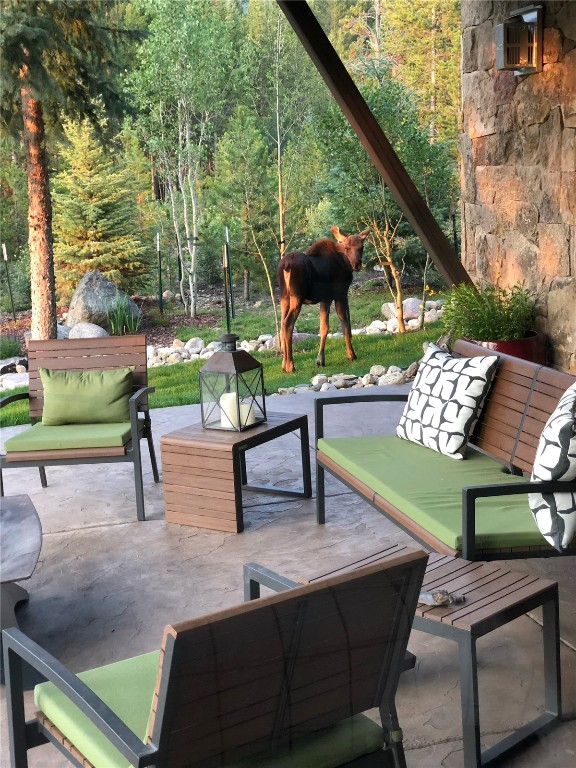 11 West Independence Road Keystone, CO 80435 - Photo 38 of 50 a view of an outdoor sitting space