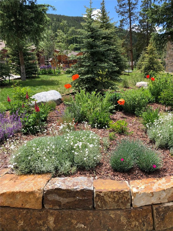 11 West Independence Road Keystone, CO 80435 - Photo 45 of 50