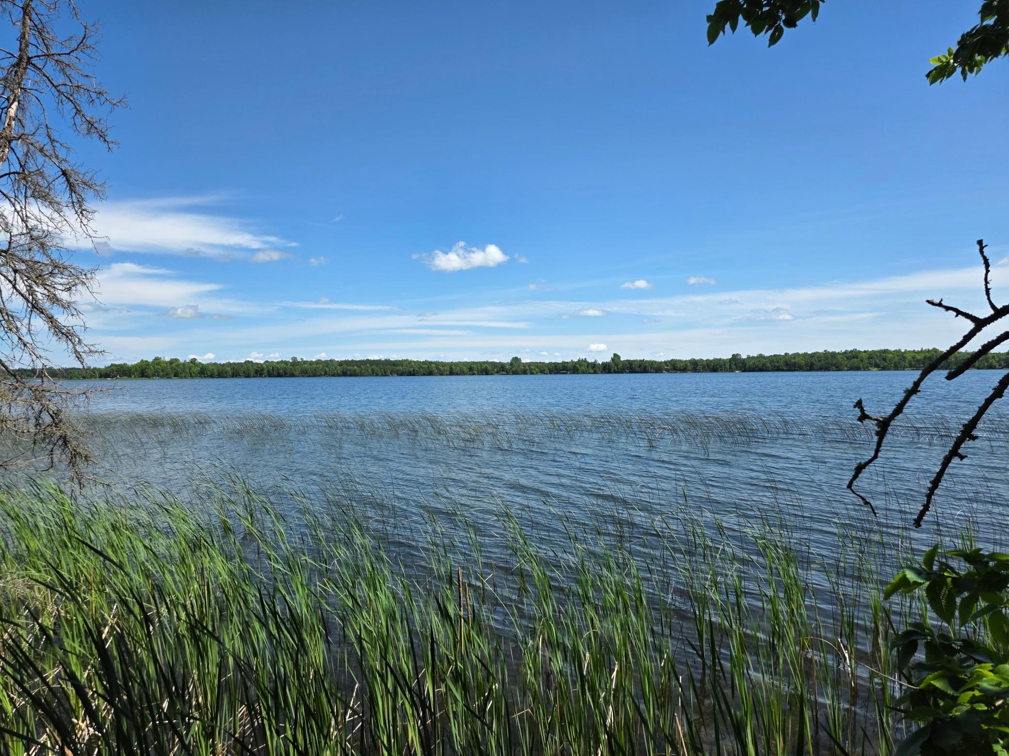 Tbd North Moose Lake Road Northeast Pennington, MN 56663 - Photo 13 of 19 Gallery Image 13