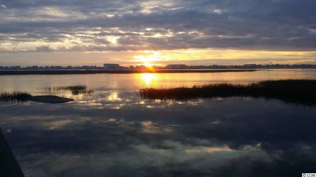 220 Hyacinth Loop Murrells Inlet, SC 29576 - Photo 25 of 25 Gallery Image 25