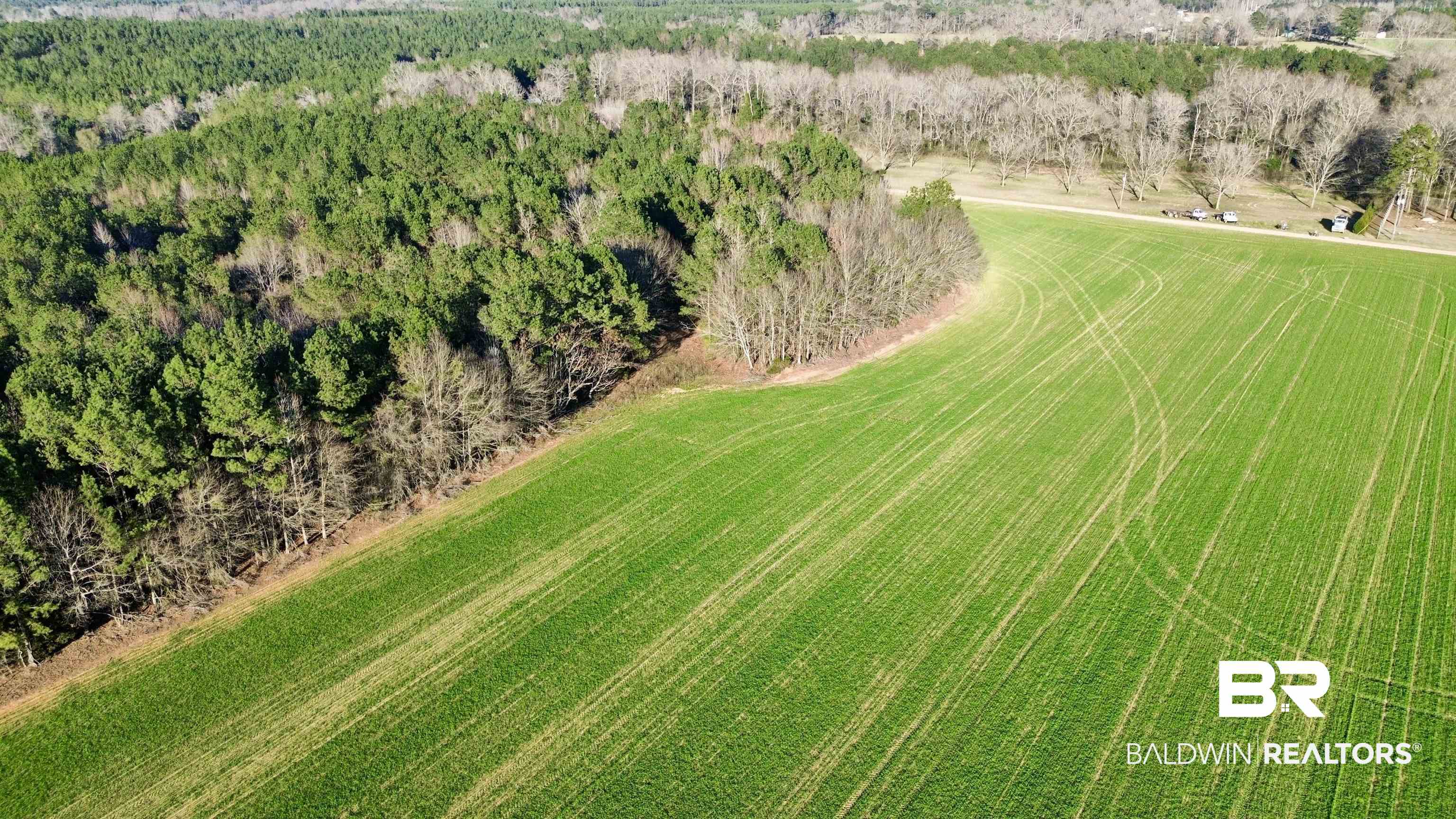 0 Ward Road Frisco City, AL 36445 - Photo 10 of 12 Drone / aerial view