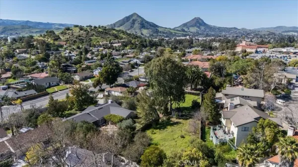 an aerial view of residential houses with outdoor space and trees