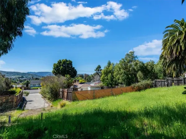 a view of a garden with a building in the background