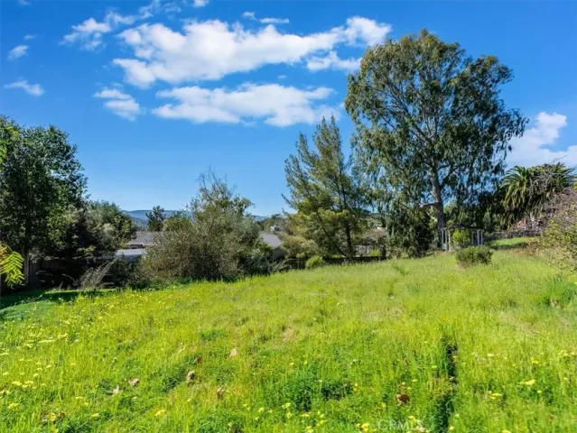 a view of backyard with green space