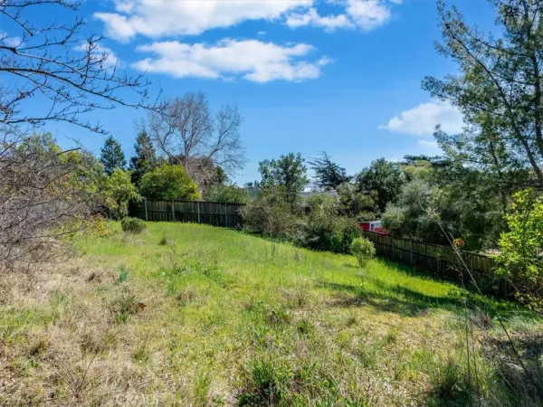 a view of a garden with a building in the background