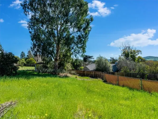 a view of a backyard with a garden