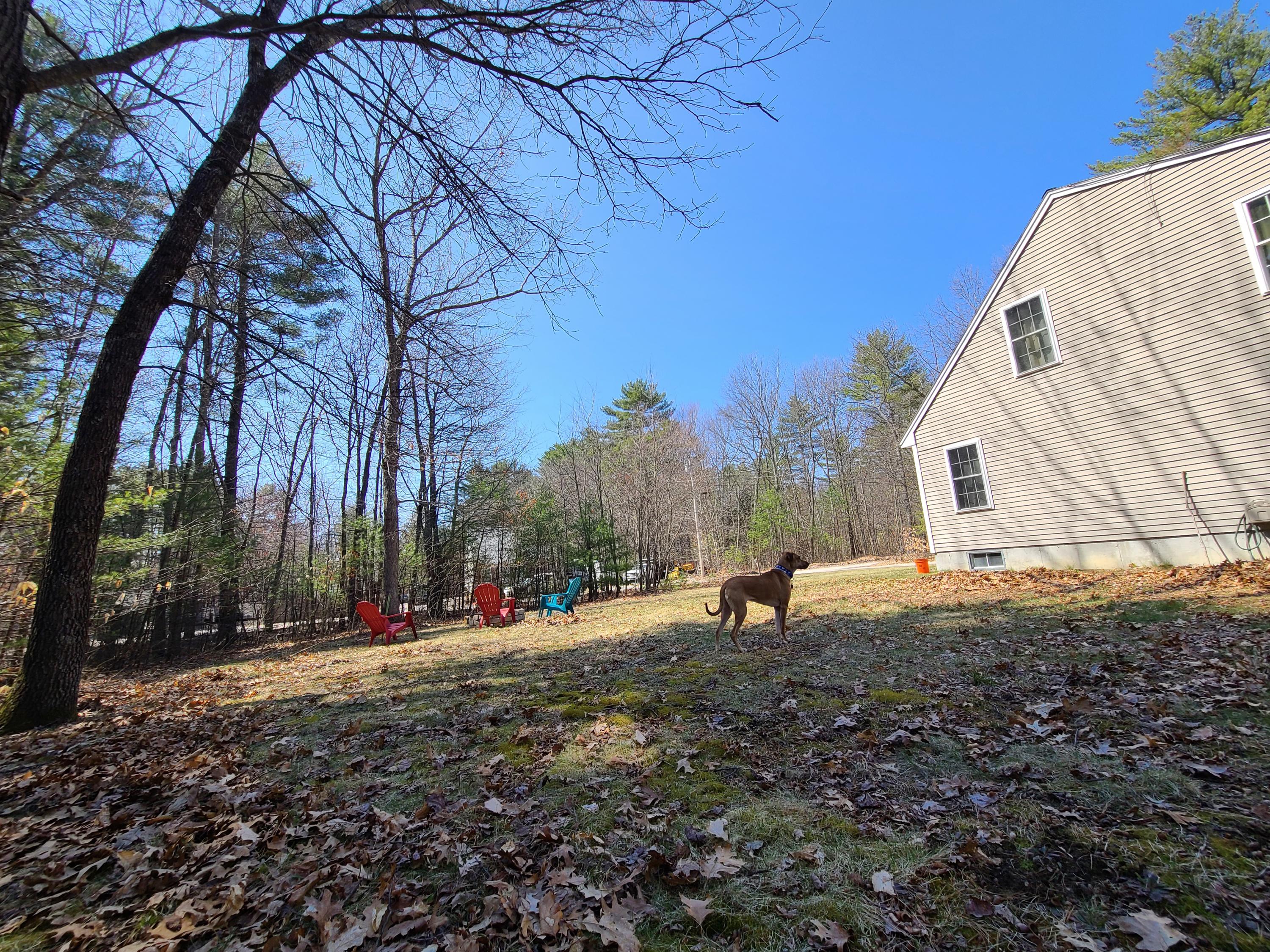 36 Collins Pond Road Windham, ME 04062 - Photo 33 of 36 Expansive side yard
