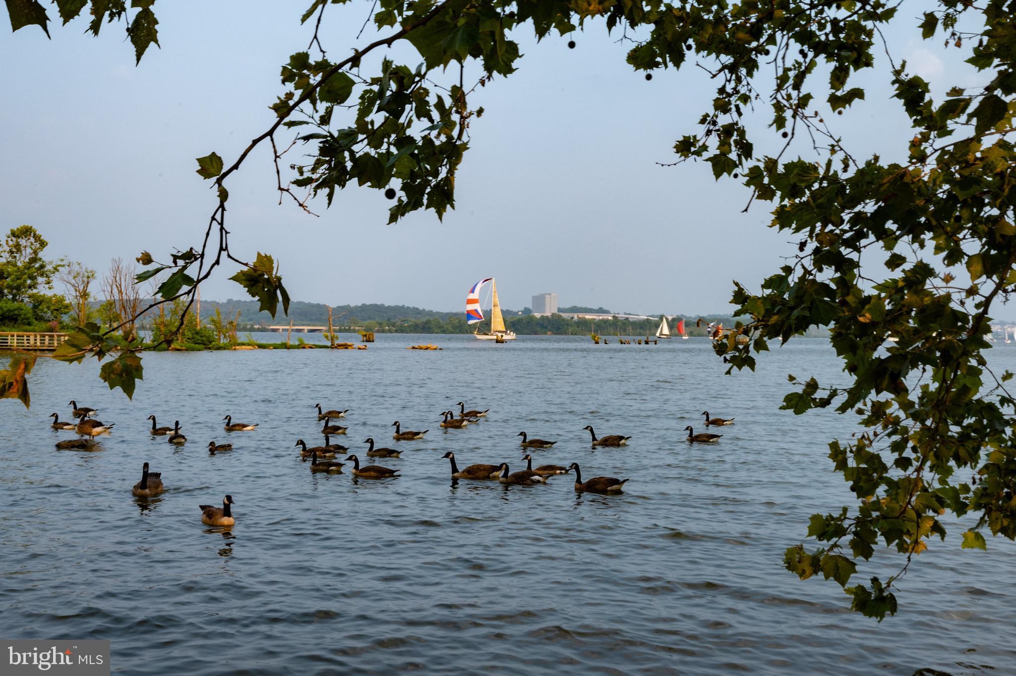 503 Pendleton Street Alexandria, VA 22314 - Photo 51 of 57