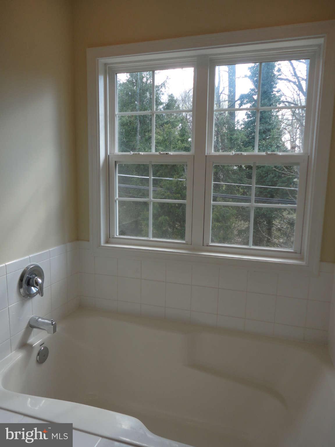 9927 Liberty Road Randallstown, MD 21133 - Photo 9 of 26 Master Garden Bath