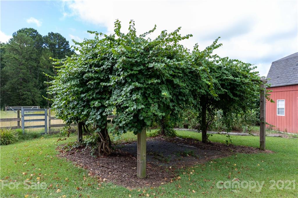 5062 Matthews Simril Road Rock Hill, SC 29732 - Photo 29 of 43 Gallery Image 29
