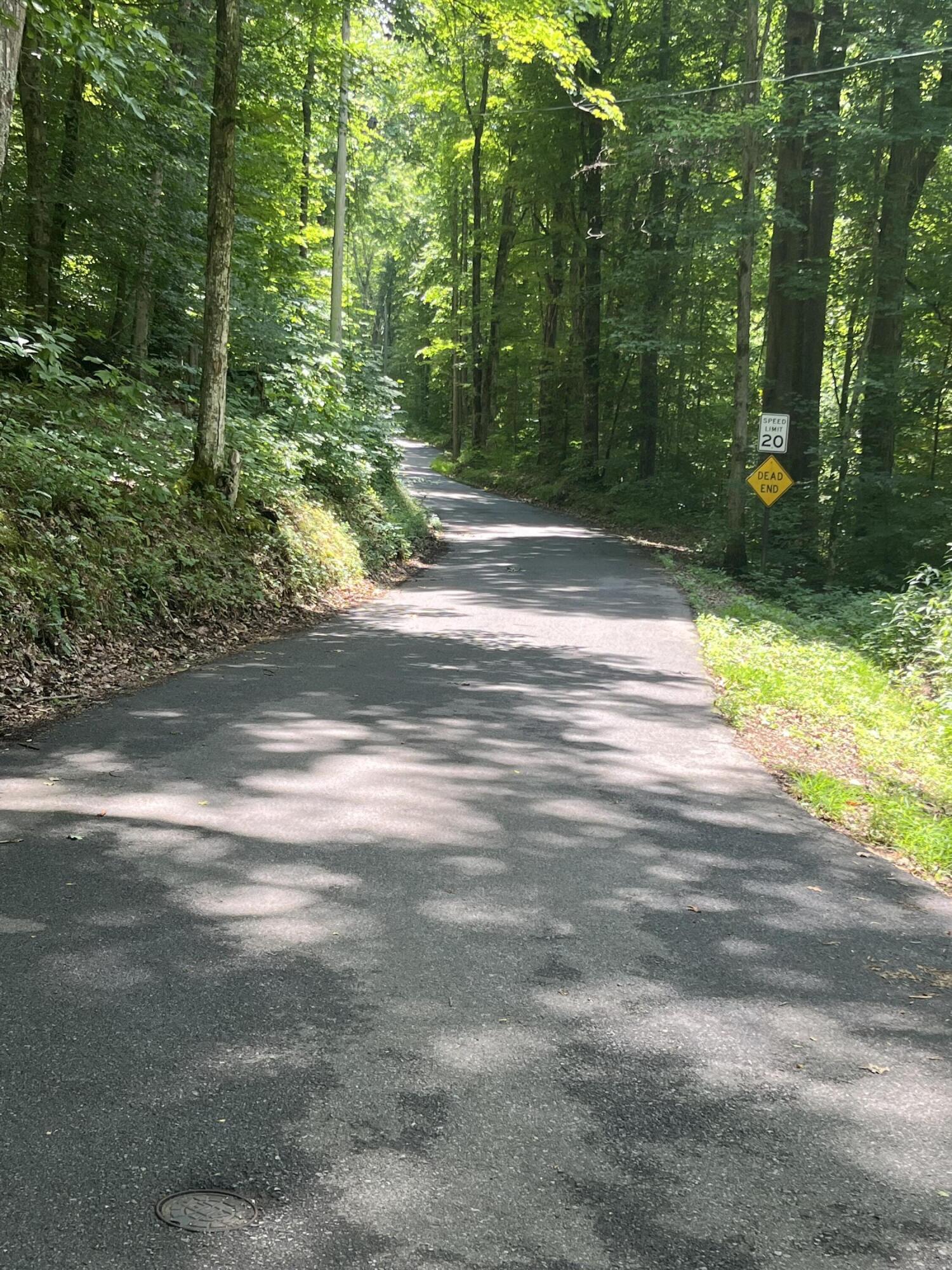 Tbd Red River Road Jonesborough, TN 37659 - Photo 9 of 9 AE152C56-3B71-4931-8286-61C9C6816C29