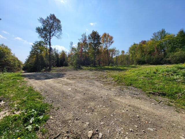 Lot 7-3 Brown Road Oakfield, ME 04763 - Photo 6 of 21 54231329836051342
