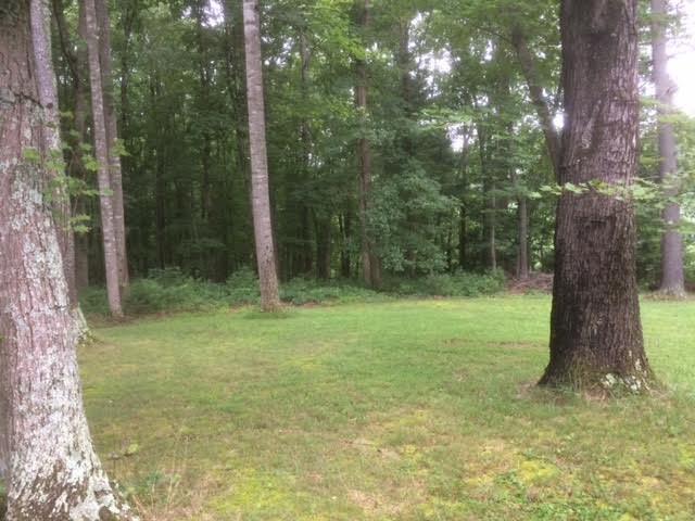 781 Simmons Gap Road Dyke, VA 22935 - Photo 6 of 11 Gallery Image 6