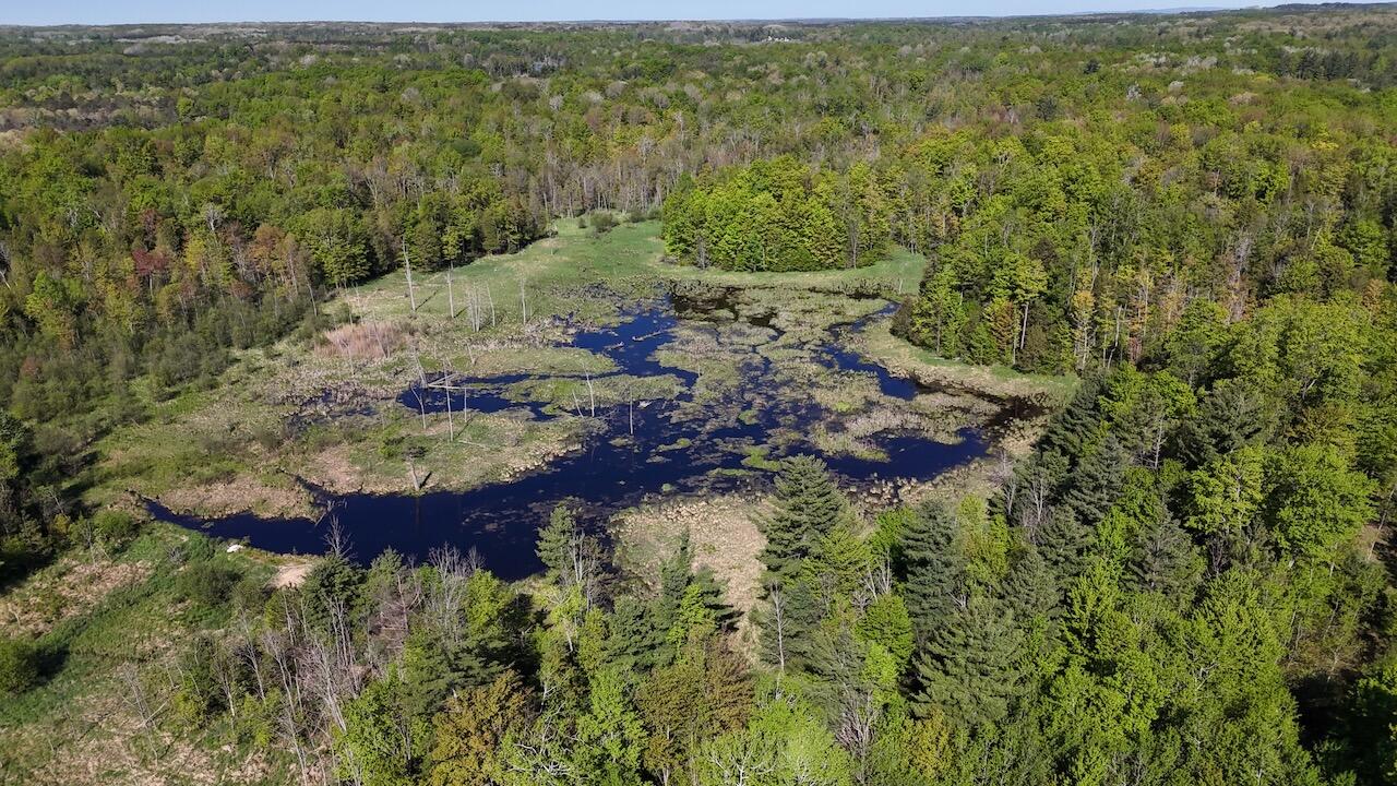 11547 1 Mile Road Leroy, MI 49655 - Photo 51 of 73 40_