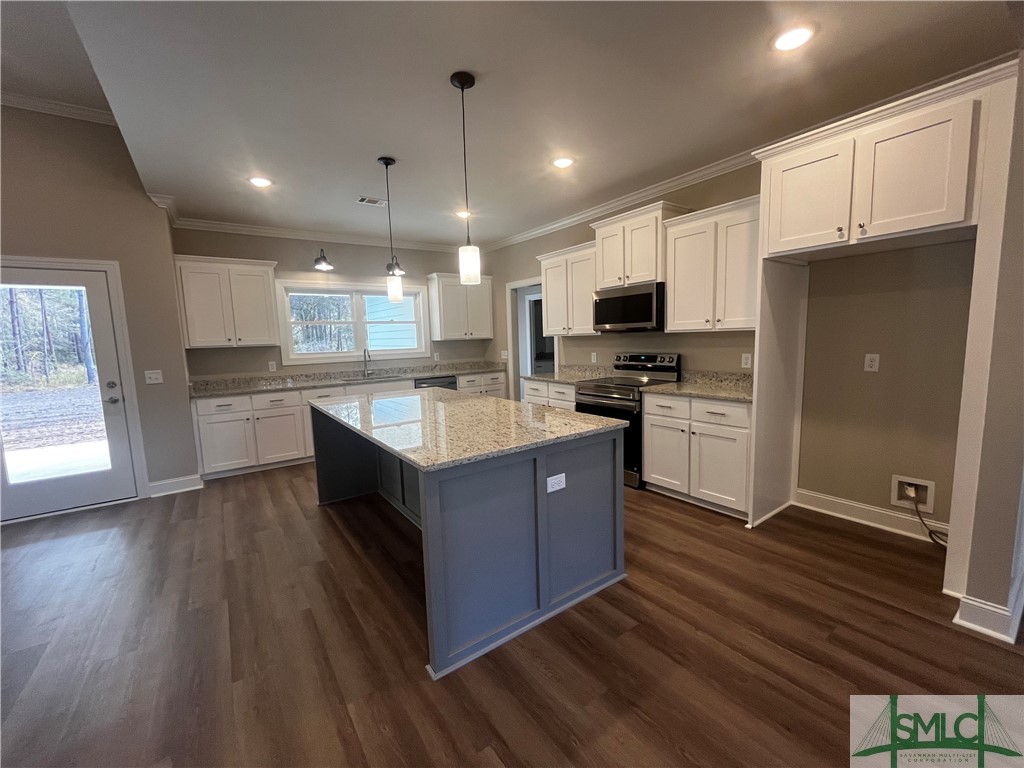 540 Doe Run Road Brooklet, GA 30415 - Photo 14 of 45 Kitchen