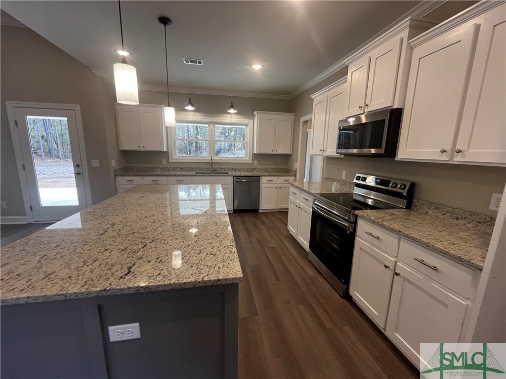 540 Doe Run Road Brooklet, GA 30415 - Photo 18 of 45 Kitchen