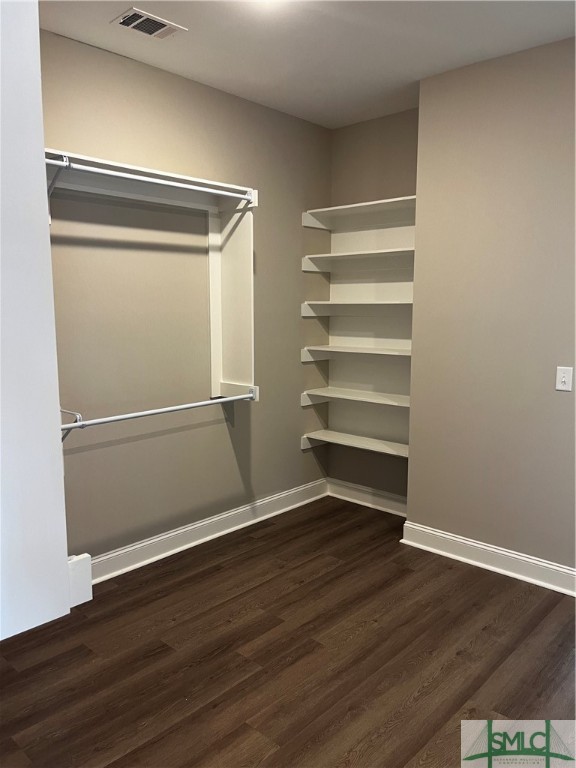 540 Doe Run Road Brooklet, GA 30415 - Photo 27 of 45 Large Walk in Closet