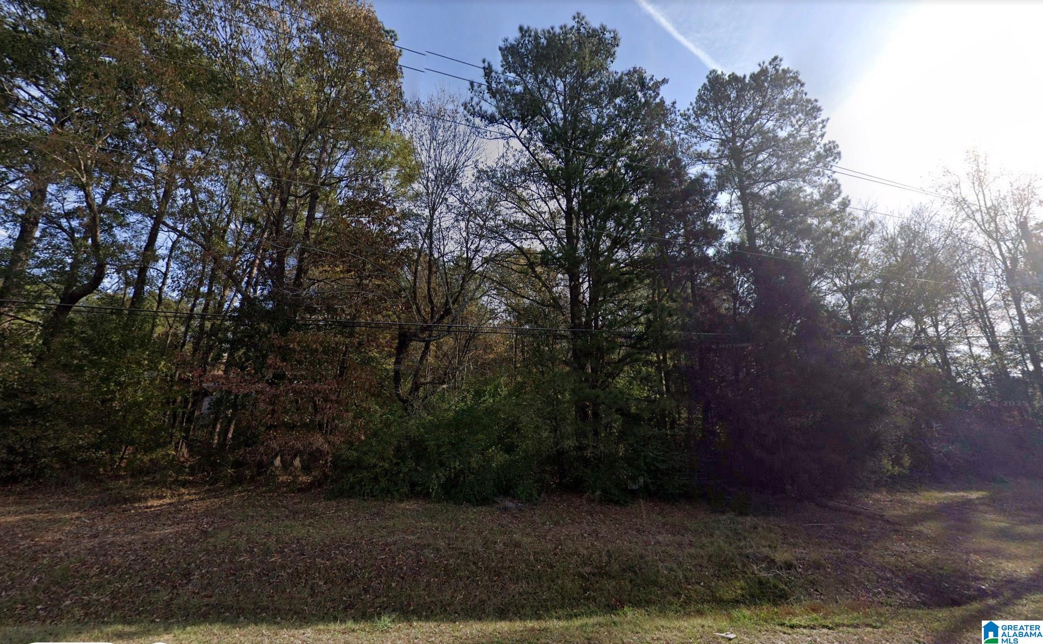 0 Stemley Bridge Road, Unit 1 Pell City, AL 35128 - Photo 1 of 1