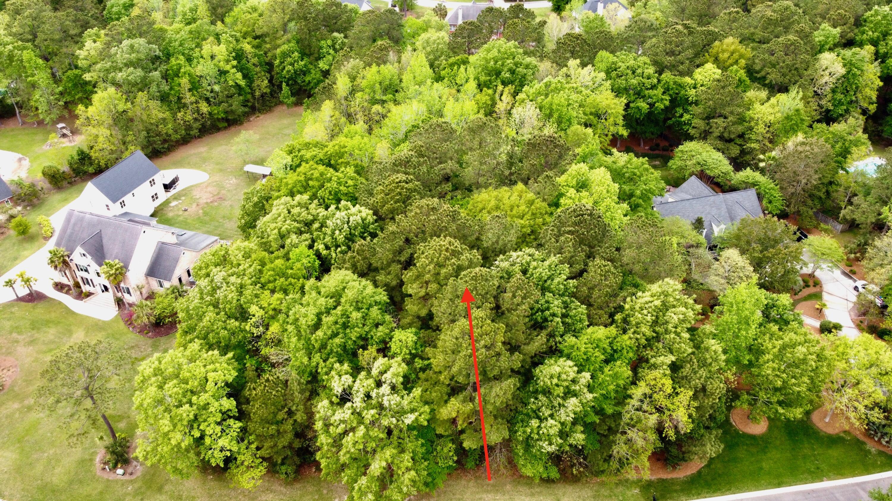 2068 Shell Ring Circle Mount Pleasant, SC 29466 - Photo 3 of 18 2068 Shell Ring Circle