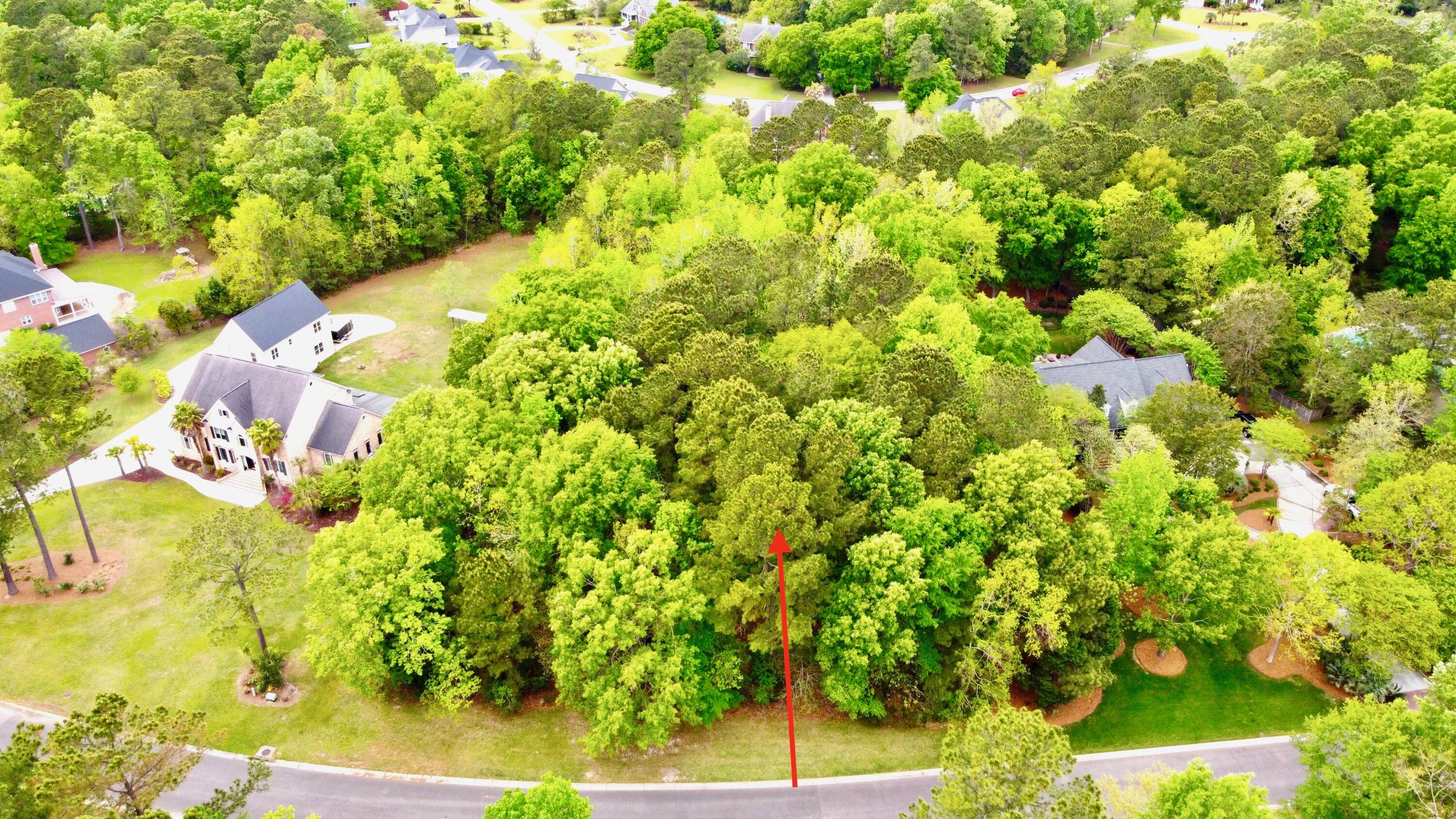 2068 Shell Ring Circle Mount Pleasant, SC 29466 - Photo 5 of 18 2068 Shell Ring Circle