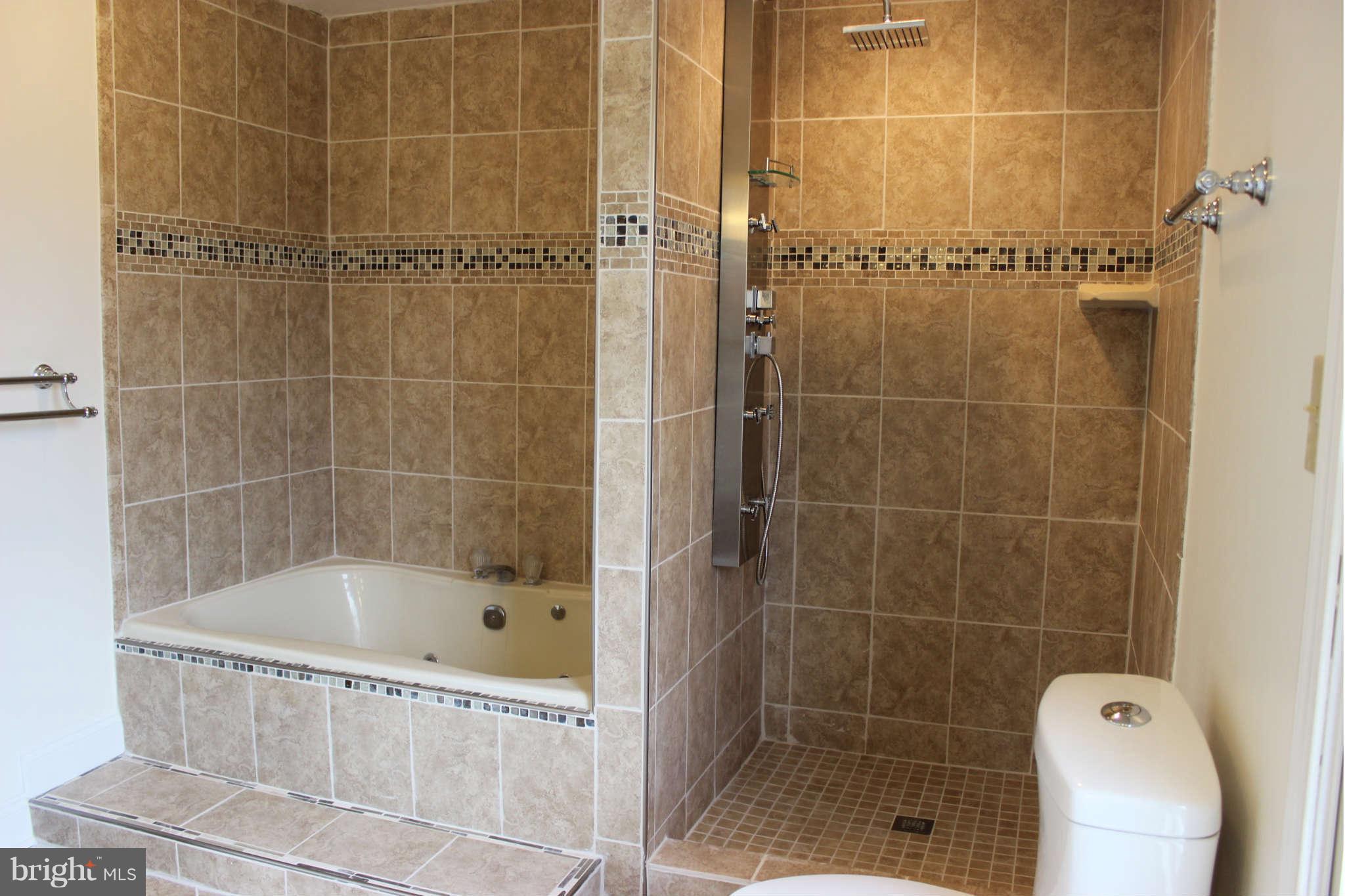 9256 Piscataway Road Clinton, MD 20735 - Photo 23 of 30 Bath (Master)