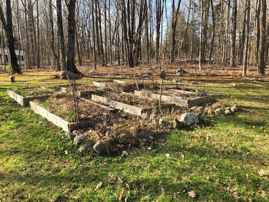 173 Hardwick Road Petersham, MA 01366 - Photo 29 of 37 a view of a yard with large trees