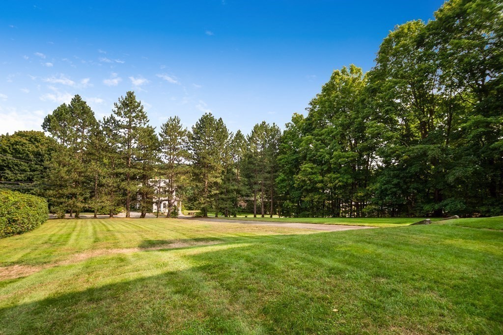 149 Andover Street, Unit 10 Andover, MA 01810 - Photo 30 of 30 a view of yard with green space